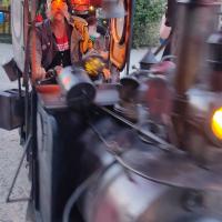 Société ferroviare féérique