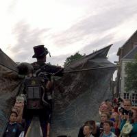 Les ailes sur échasses