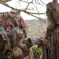 Narkoz et Profitroll