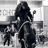 Blackwolf à Blackpool