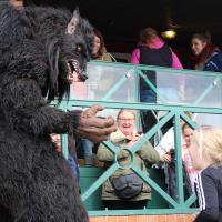 Blackwolf en déambulation