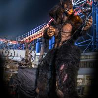 Blackwolf in the street