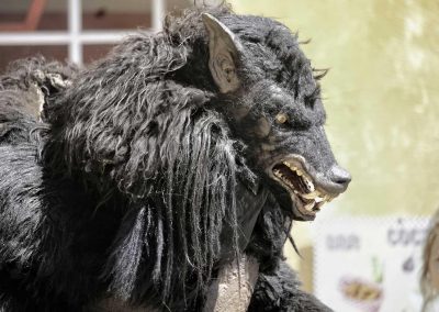 Blackwolf